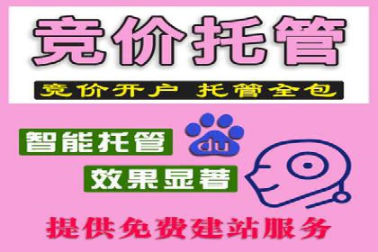 百度推广运营实战经验：案例解析与优化